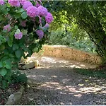 Mazette! Le Chateau Νιόρ