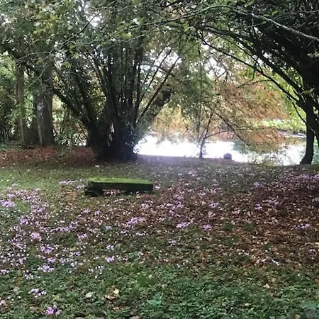 Mazette! Le Chateau 4* 尼奥尔