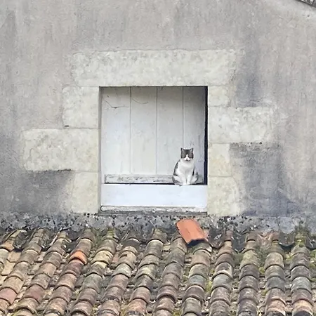 Nocleg ze śniadaniem Mazette! Le Chateau 4*